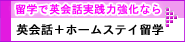 海外で英会話力アップなら